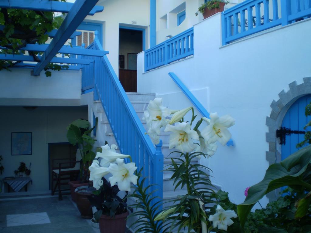 Hotel Anixis Naxos City Exterior foto