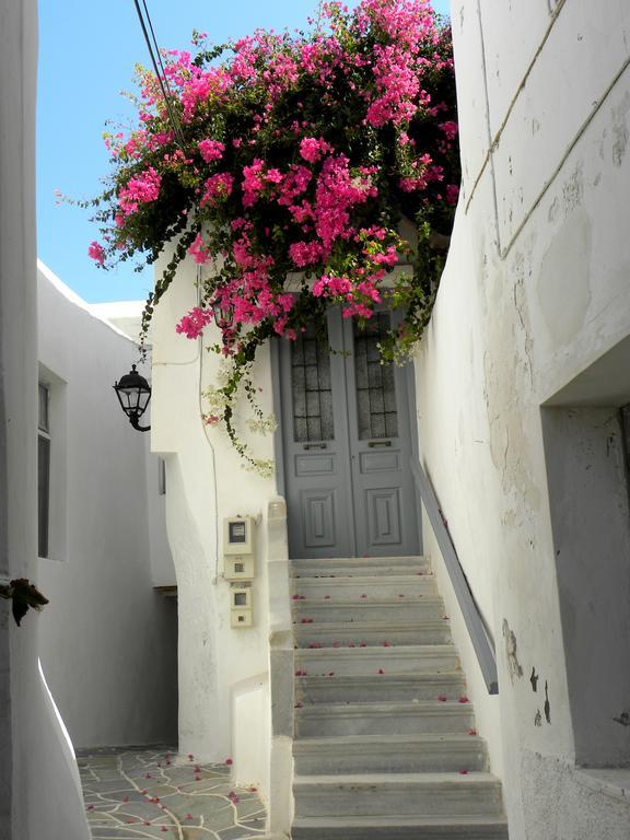 Hotel Anixis Naxos City Exterior foto